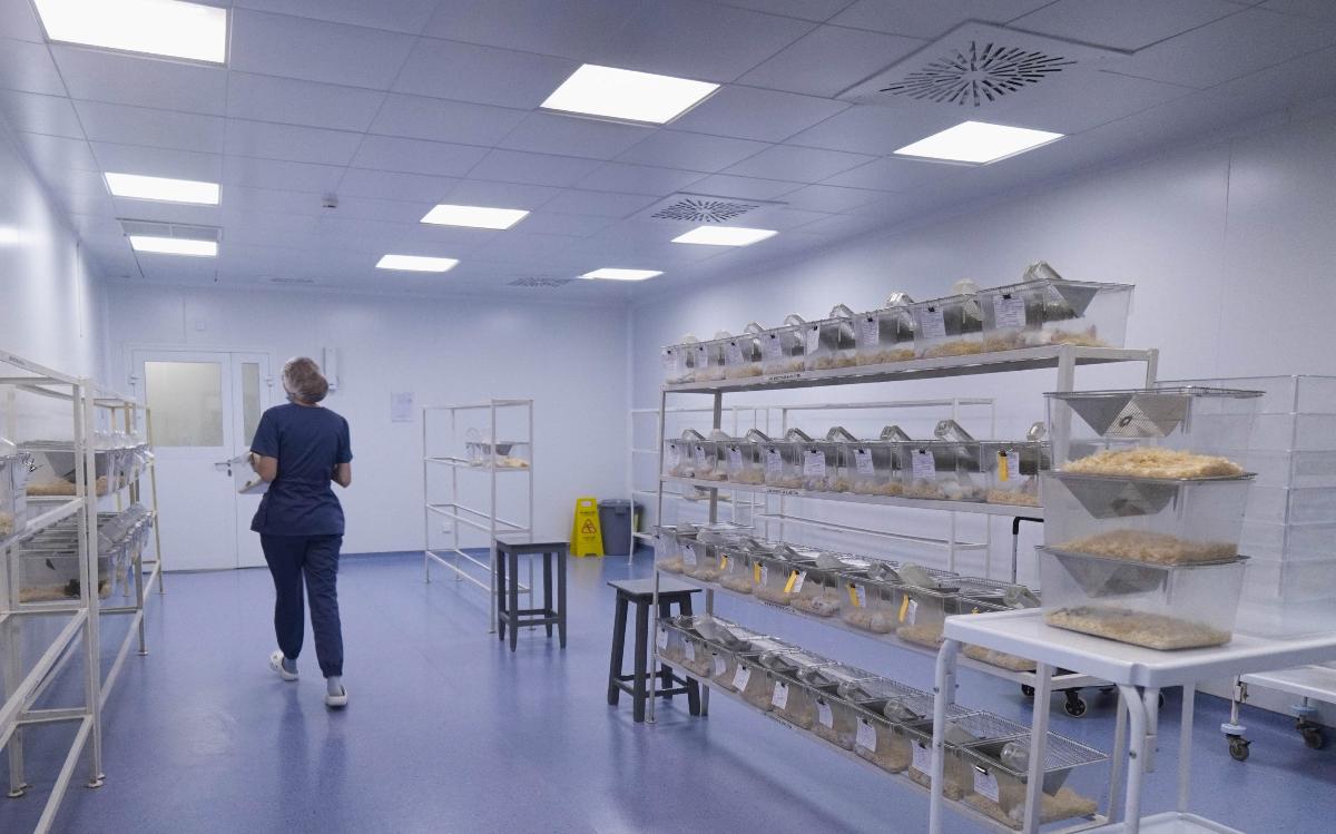 Контроль качества лекарственных средств ветеринарного для применения